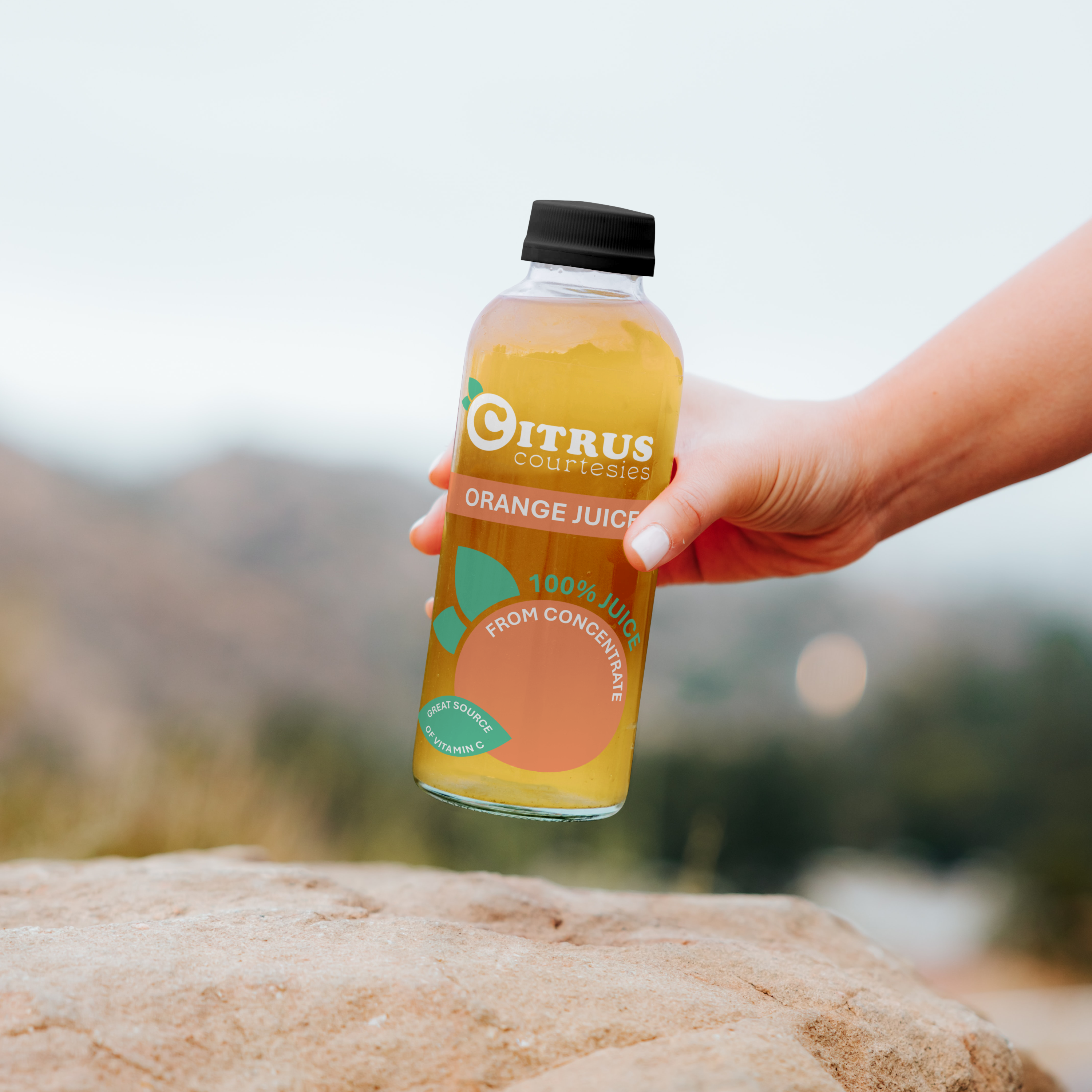 Citrus Courtesies