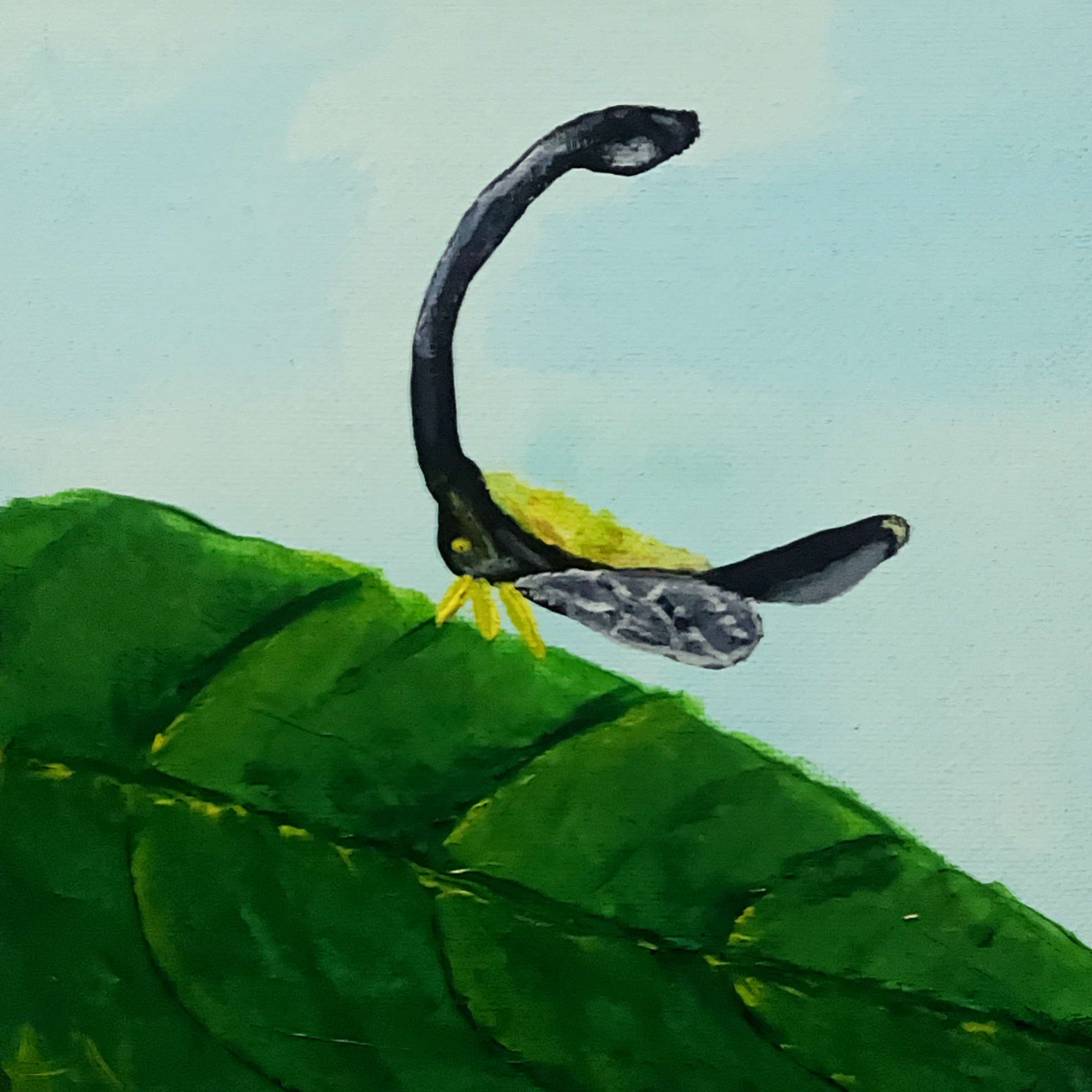 Branch Treehopper