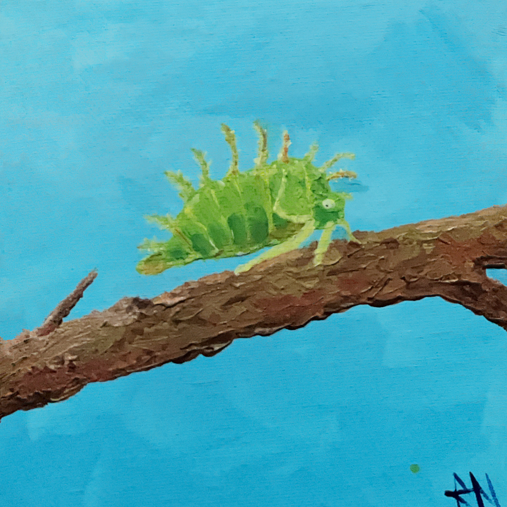 Buffalo Treehopper
