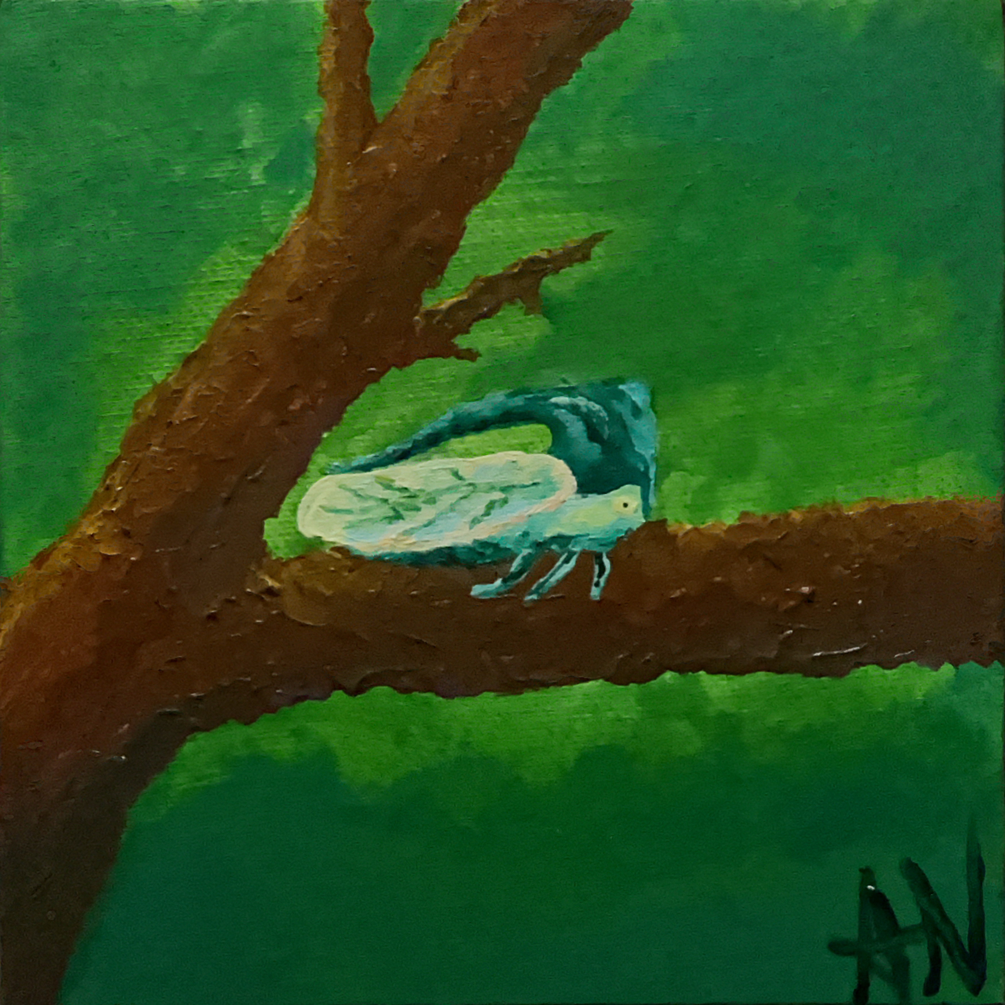 Horned Treehopper
